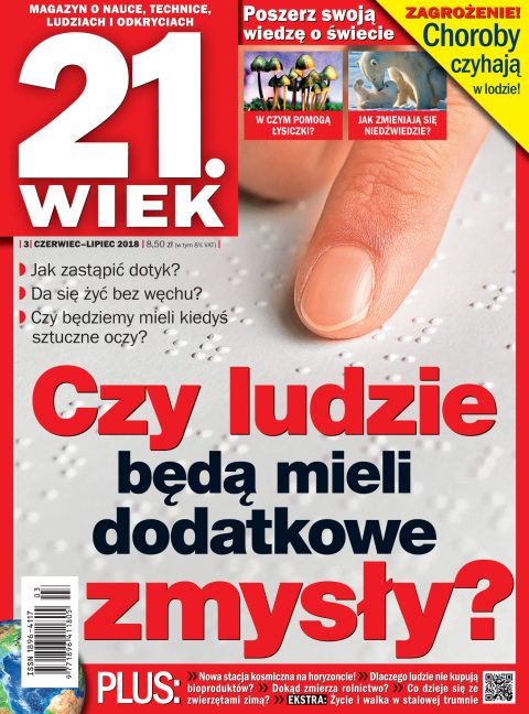 21.Wiek 21.Wiek