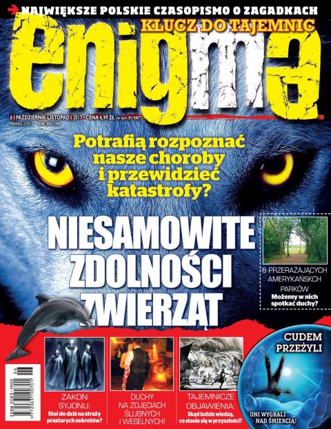 Enigma Enigma