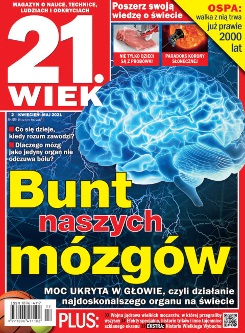 21.Wiek 21.Wiek