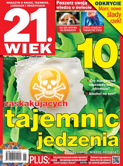 21.Wiek 21.Wiek