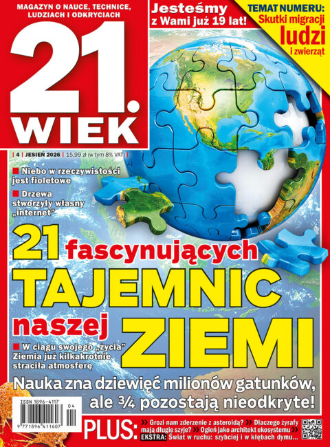 21.Wiek