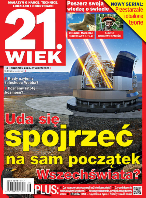 21.Wiek 21.Wiek