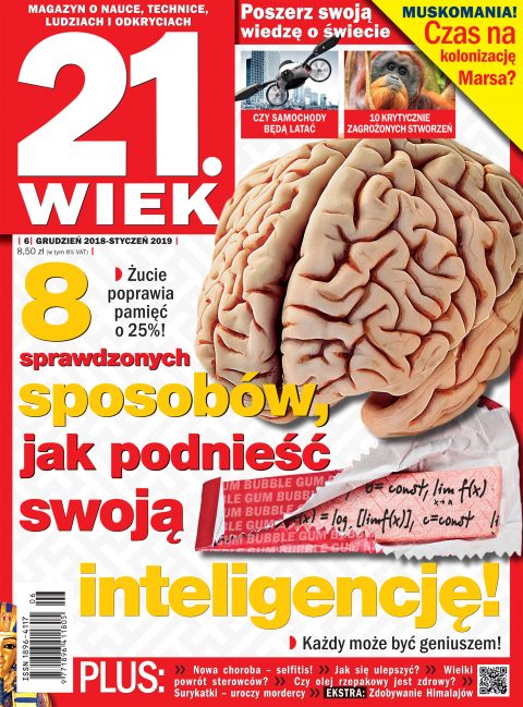 21.Wiek 21.Wiek