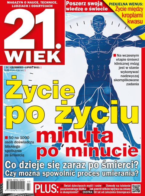21.Wiek 21.Wiek