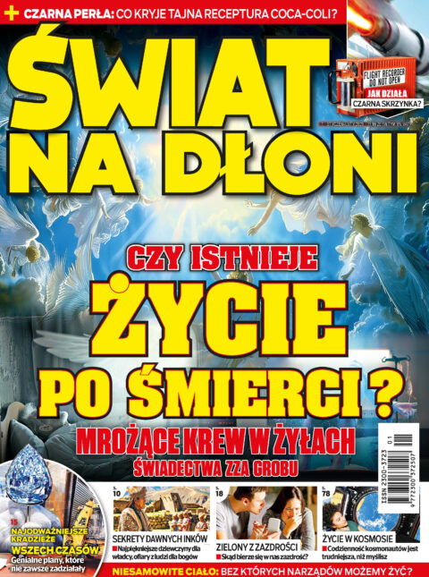 Świat na dłoni