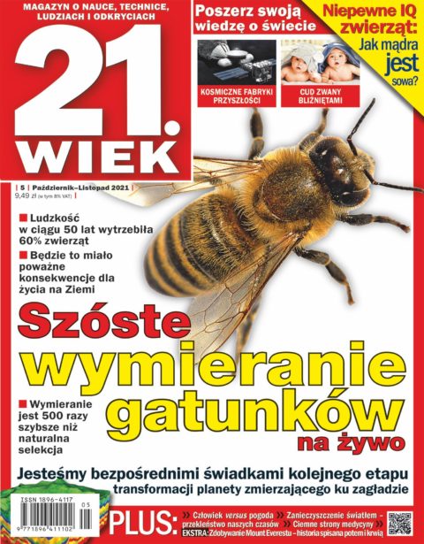 21.Wiek 21.Wiek