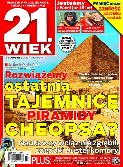 Aktualny numer 21.Wiek