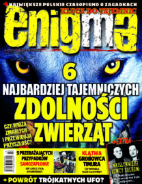 Enigma 3/2026