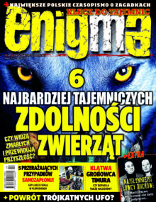 Enigma