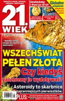 21.Wiek
