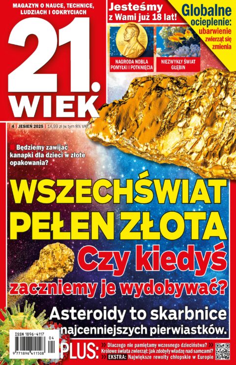 21.Wiek