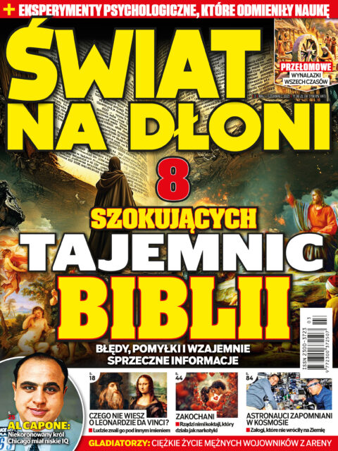 Świat na dłoni Świat na dłoni